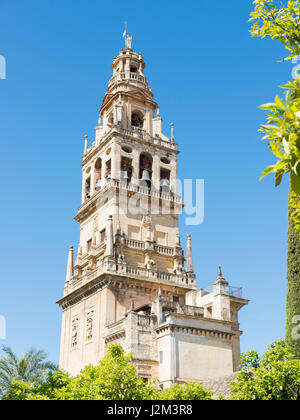 Bell Tower von La Mezquita in Cordoba in der südlichen spanischen Provinz Andalusien früher eine römische Stadt und ein Islamisches Kulturzentrum in der Mitte Stockfoto