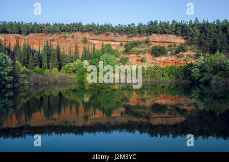 Schöne Natur in kleinen See widerspiegelt. Frühlingszeit Stockfoto