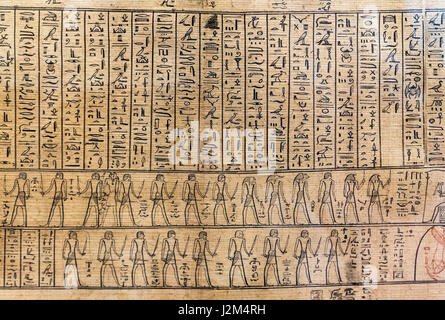 Hieroglyphen. Ägyptische Hieroglyphen auf einem Teil des Jumilhac Papyrus, datiert aus der ptolemäischen oder frühen römischen Spätzeit Ägyptens. Stockfoto