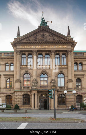 Deutschland, Nordrhein-Westfalen, Bonn, Museumsmeile, Museum Alexander Koenig, Naturhistorisches museum Stockfoto