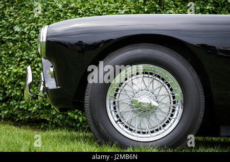 USA, Massachusetts, Beverly Farms, antike Autos, 1950er Jahre Aceca Stockfoto