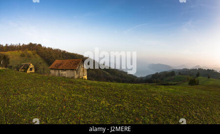 Herbst Sonnenuntergang am Hänge und Wiesen mit Nebel über der Donau in Serbien Stockfoto