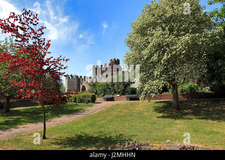 Frühling, Juni, Mai, Schlossgarten, Hertford Stadt, Hertfordshire, England Stockfoto