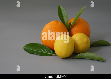 Bio Orange auf den grauen Hintergrund - isolieren Stockfoto