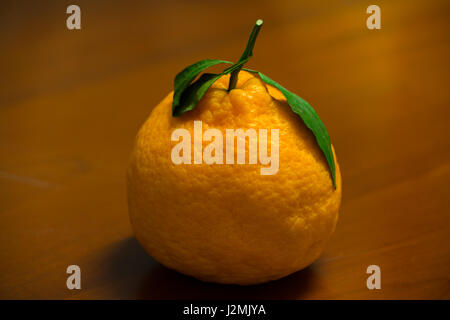 Dekopon japanische Bio Orange auf hölzernen Hintergrund Stockfoto