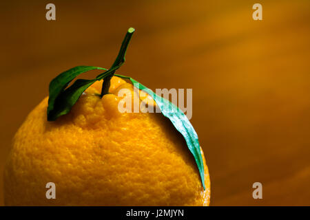 Dekopon japanische Bio Orange auf hölzernen Hintergrund Stockfoto