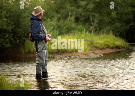 Man Fliegenfischen allein in einem kleinen Bach in den Rocky Mountains von Colorado. Stockfoto