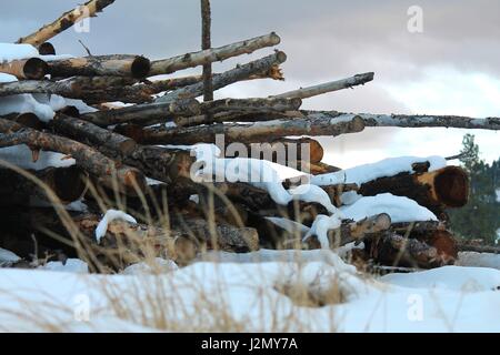 Verschneite Holzstapel auf Bauernhof Stockfoto