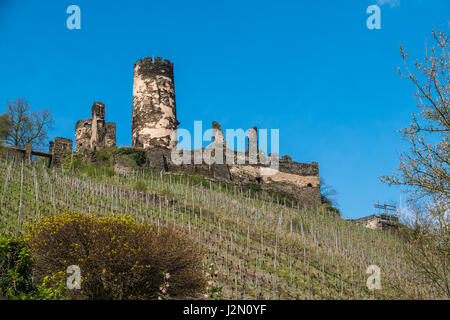 Weinberge und Burg Ruinen in der Nähe von Bacharach am Rhein im Landkreis Mainz-Bingen in Rheinland-Pfalz, Deutschland. Stockfoto