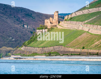 Ehrenfels Castle (Burg Ehrenfels) eine Burgruine oberhalb der Rheinschlucht in der Nähe der Stadt Rüdesheim am Rhein in Hessen, Deutschland. Das Hotel liegt auf der steilen ea Stockfoto