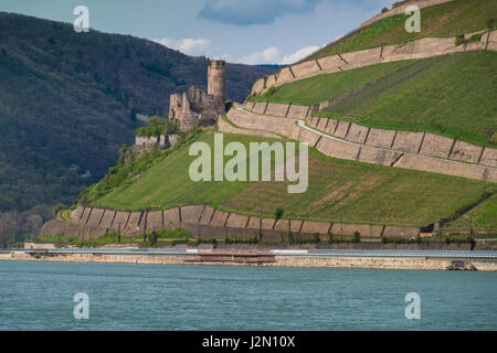 Ehrenfels Castle (Burg Ehrenfels) eine Burgruine oberhalb der Rheinschlucht in der Nähe der Stadt Rüdesheim am Rhein in Hessen, Deutschland. Das Hotel liegt auf der steilen ea Stockfoto