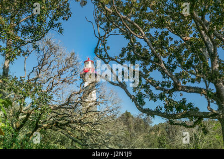 St. Augustine Lighthouse (1874 - St. Augustine Light Station) auf der Anastasia Barrier Island, Florida, USA Stockfoto