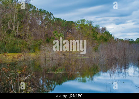 Pinckney Island National Wildlife Refuge, Hilton Head, Südcarolina, USA Stockfoto