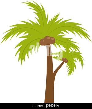 Palme. Symbol flach, Cartoon-Stil. Sommer, Strand-Konzept isoliert auf weißem Hintergrund. Vektor-Illustration, Clip-Art. Stock Vektor