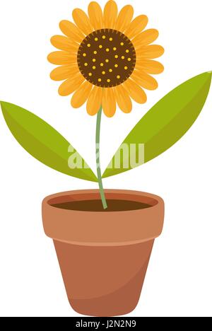 Sonnenblume in einem Blumentopf. Symbol flach, Cartoon-Stil. Isoliert auf weißem Hintergrund. Vektor-Illustration, Clip-Art. Stock Vektor