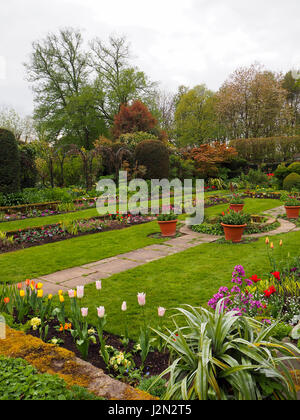 Im Hochformat Chenies versunkene Garten Frühjahr Farbe. Wunderschön angelegter Garten mit Rasen, Wege, Bäume, Tulpen, Formschnitt und ornamentalen Teich... Stockfoto