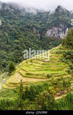 Guizhou, China.  Terrassenförmig angelegt, Landwirtschaft zwischen zwischen Zhaoxing und Kaili, nach der Reisernte. Stockfoto