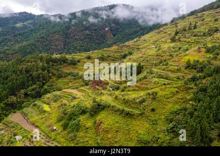 Guizhou, China.  Bewaldete Hügel und Terrassen Landwirtschaft zwischen Zhaoxing und Kaili, nach der Reisernte. Stockfoto