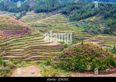 Guizhou, China.  Terrassenförmig angelegt, Landwirtschaft zwischen zwischen Zhaoxing und Kaili, nach der Reisernte. Stockfoto