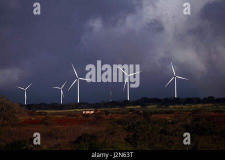 Windkraftanlagen an der Nordküste von Oahu, Hawaii Stockfoto