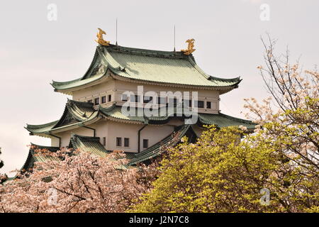 Nagoya Castle im Frühjahr Stockfoto