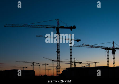 Viele Baukräne auf sunset Sky - Kran Silhouette skyline Stockfoto