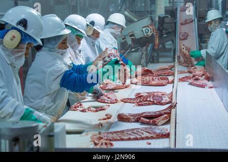 Arbeiter auf der Linie bei Triumph Lebensmittel Schweinefleisch verarbeitenden Anlage 28. April 2017 in St. Joseph, Missouri. Stockfoto