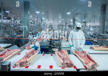 Arbeiter auf der Linie bei Triumph Lebensmittel Schweinefleisch verarbeitenden Anlage 28. April 2017 in St. Joseph, Missouri. Stockfoto