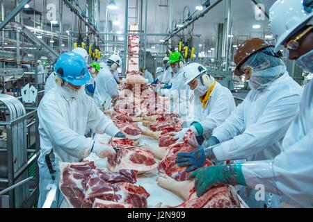 Arbeiter auf der Linie bei Triumph Lebensmittel Schweinefleisch verarbeitenden Anlage 28. April 2017 in St. Joseph, Missouri. Stockfoto