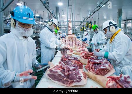 Arbeiter auf der Linie bei Triumph Lebensmittel Schweinefleisch verarbeitenden Anlage 28. April 2017 in St. Joseph, Missouri. Stockfoto