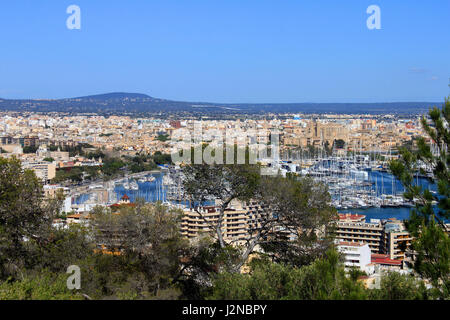 Mallorca Stockfoto