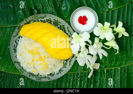 Thai Dessert. Süße Mango süßer Klebreis mit Kokosmilch für Belag auf frische Banane Blätter Dekoration mit weißen Thai Orchideen serviert. Stockfoto