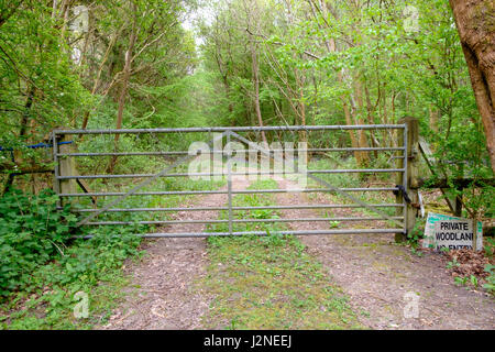 Privaten Wald kein Eintrag Zeichen Tor Wald Wald Kette Stacheldraht Draht Stockfoto