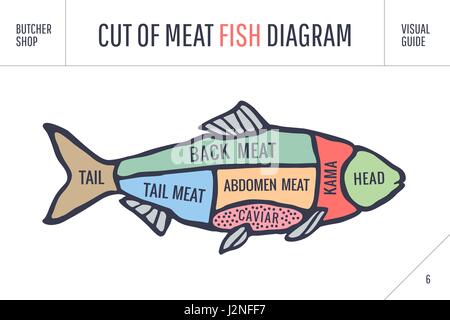 Schneiden von Fleisch-Satz. Plakat-Metzger-Diagramm und Schema - Fisch. Vintage typografische handgezeichneten Stock Vektor