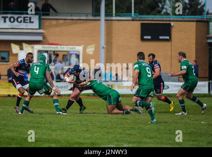 Doncaster, UK. 30. April 2017. Doncaster Ritter Hooker Ben Hunter (2) in Angriff genommen wird. [Doncaster Ritter V London Irish in der grüne König IPA Meisterschaft Play-off-1. Etappe am Schlosspark, 30.04.2017 KO 14:45. Bildnachweis: Stephen Buckley/Alamy Live-Nachrichten Stockfoto