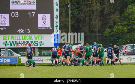 Doncaster, UK. 30. April 2017. London Irish Punkten um Itt 22-3 zu machen.  Doncaster Ritter V London Irish in der grüne König IPA Meisterschaft Play-off-1. Etappe am Schlosspark, 30.04.2017 KO 14:45. Bildnachweis: Stephen Buckley/Alamy Live-Nachrichten Stockfoto