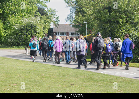 Cottingham, UK. 30. April 2017. Dove House Sponsored Walk - Geldbeschaffung um Taube Haus Hospiz, eine Wohltätigkeitsorganisation, die Betreuung von unheilbar kranken Patienten zu unterstützen. Bildnachweis: Matthew Appleyard/Alamy Live-Nachrichten Stockfoto