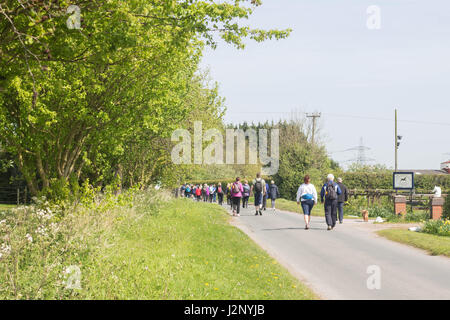 Cottingham, UK. 30. April 2017. Dove House Sponsored Walk - Geldbeschaffung um Taube Haus Hospiz, eine Wohltätigkeitsorganisation, die Betreuung von unheilbar kranken Patienten zu unterstützen. Bildnachweis: Matthew Appleyard/Alamy Live-Nachrichten Stockfoto