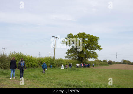 Cottingham, UK. 30. April 2017. Dove House Sponsored Walk - Geldbeschaffung um Taube Haus Hospiz, eine Wohltätigkeitsorganisation, die Betreuung von unheilbar kranken Patienten zu unterstützen. Bildnachweis: Matthew Appleyard/Alamy Live-Nachrichten Stockfoto