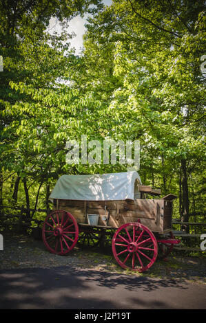 Planwagen unter Bäumen. Stockfoto