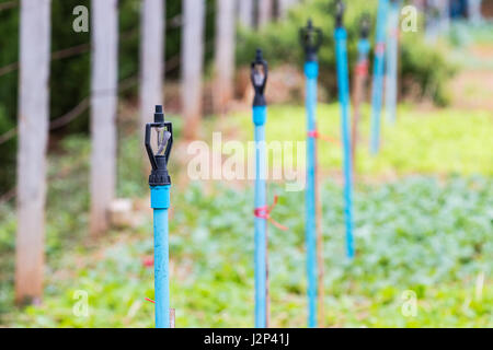 Kunststoff-Wasser-Sprenger-Köpfe auf PVC-Rohre in einem Garten, selektiven Fokus auf dem vorderen Sprenger Stockfoto