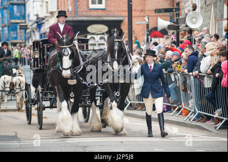 Hengste und preisgekrönte Besitzer laden Strickjacke High Street an dieser Jahre Parade der Hengste Event im Strickjacke von wales Stockfoto