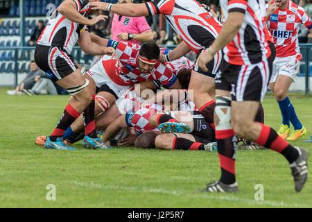 ZAGREB, Kroatien - 29. April 2017: Rugby Europapokal der Nationen Kroatien vs. Malta. Spieler bekämpfen gegenseitig Stockfoto