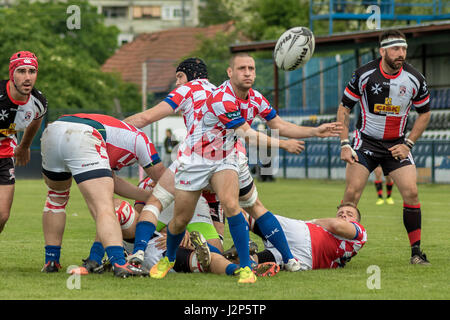 ZAGREB, Kroatien - 29. April 2017: Rugby Europapokal der Nationen Kroatien vs. Malta. Player ist den Ball passieren. Stockfoto