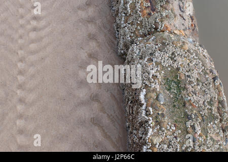 Nebliges Wetter im März auf der Insel Sylt, Deutschland Stockfoto