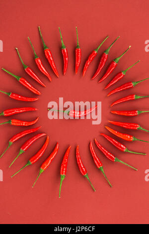 Rot-heiße Paprika, beliebte Gewürze Konzept - dekorative Kreis besteht aus rote scharfe Paprika Schoten auf rotem Grund, in der Mitte ist ein Pod, Draufsicht, flach legen, vertikal. Stockfoto