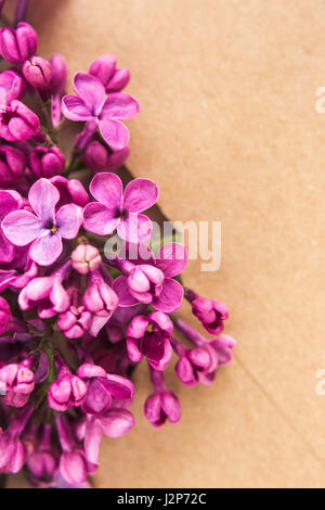 Zweige der Flieder im Postumschlag auf hölzernen Hintergrund. Kopie space.spring Stimmung. Internationaler Frauentag. die Frische der Blumen. Die Inschrift auf dem Buchstaben-glücklich Stockfoto