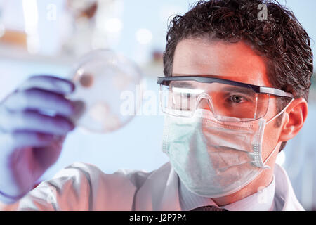 Life-Science-Forscher Zellen in Petrischale beobachten. Stockfoto