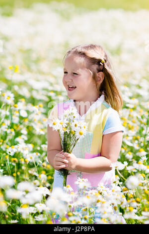 Kind spielt in Daisy-Feld. Mädchen frische Blumenpflücken in Margeriten Wiese an sonnigen Sommertag. Kinder spielen im Freien. Kinder entdecken Natur. Wenig gi Stockfoto