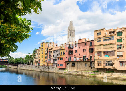 Von Girona bunten Häusern, die Fälle de l'Onyar, entlang dem Fluss Onyar in der alten Stadt Girona, überragt von der Basilika de Sant Feliu, Spanien Stockfoto